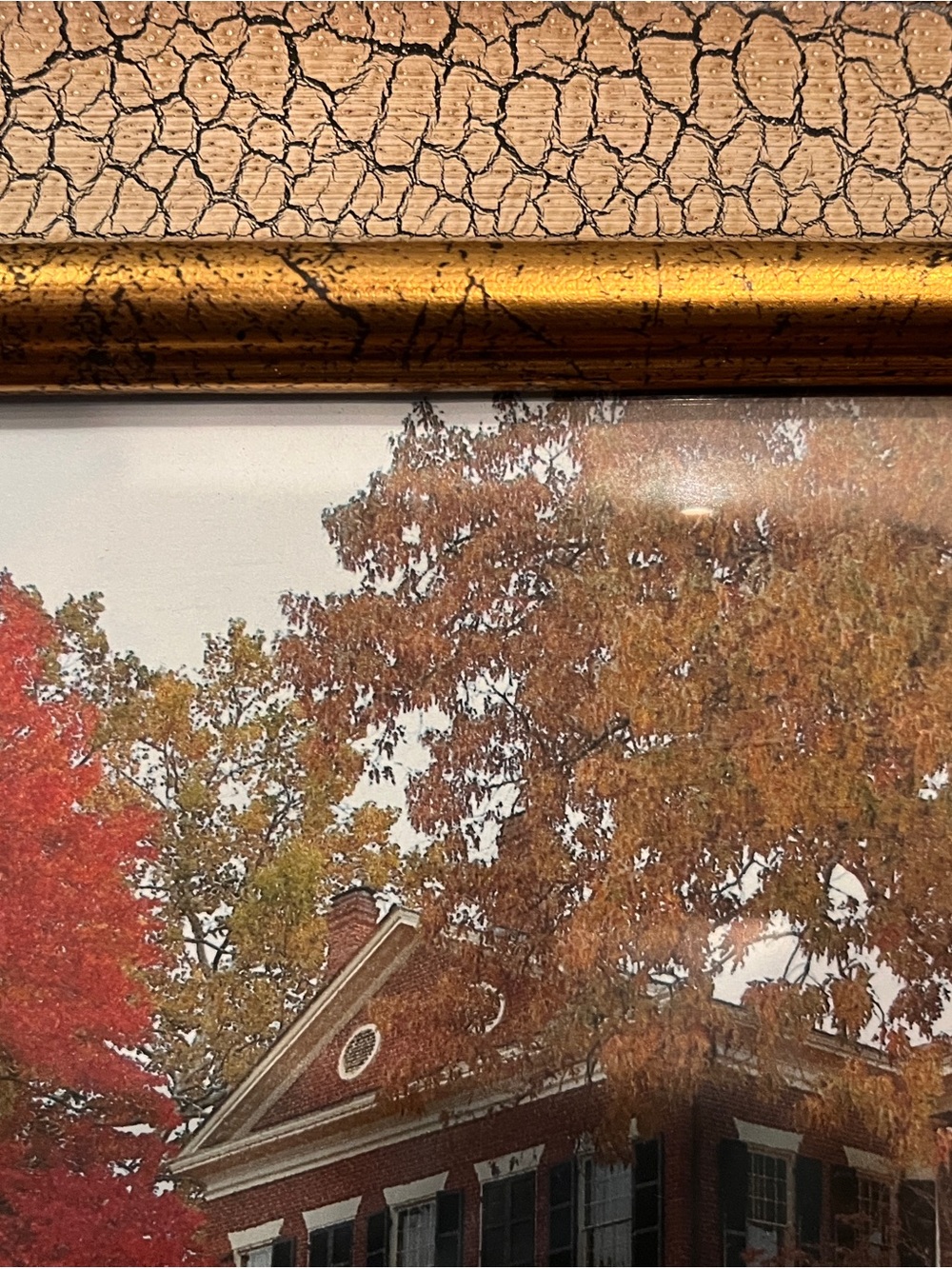 Framed Autumn Dahlonegs Gold Museum Print with Gold Crackle Frame - Picture 6 of 6